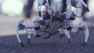 Intel InsideOut Experience