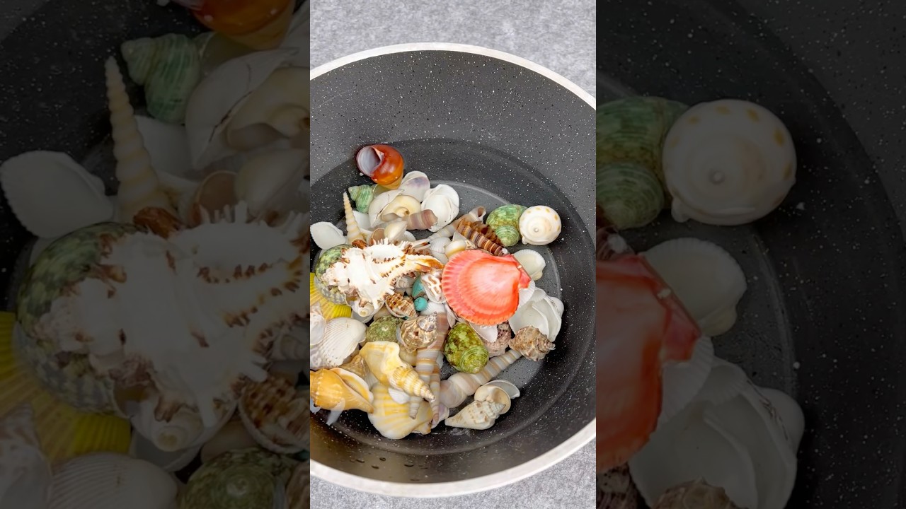 Look What I Made By Boiling Seashells In Water! DIY