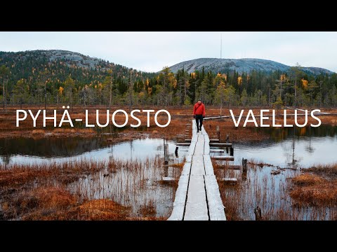 Merkkipäivän juhlistus - 3 päivän vaellus Pyhä-Luoston kansallispuistossa