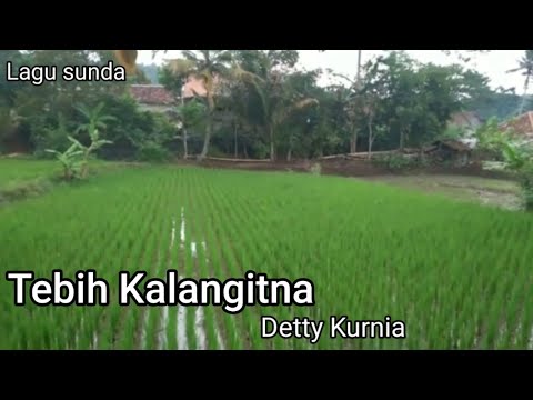 Tebih kalangitna Detty Kurnia (cover video)