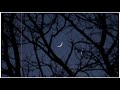 Chand Mera Dil Chandni Ho Tum Whatsapp Status KK Rakhi S2