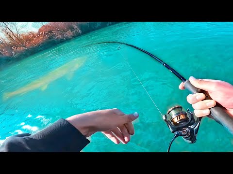 Angeln auf wilde Bachforellen zum Saisonstart am Bach!!!