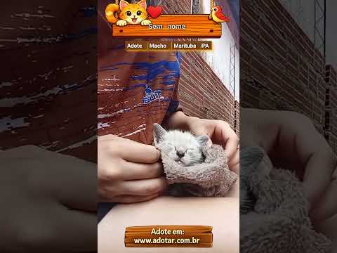 Vídeo de Sem nome