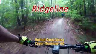 Ridgeline - DuPont State Forest - Cedar Mountain, NC