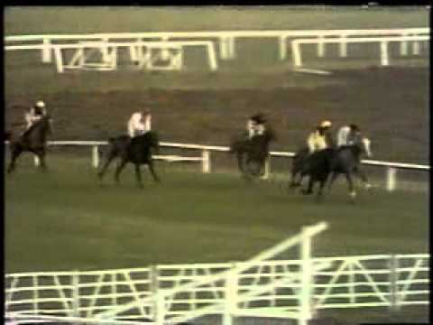 Horse Racing 1973 Topham Trophey Aintree