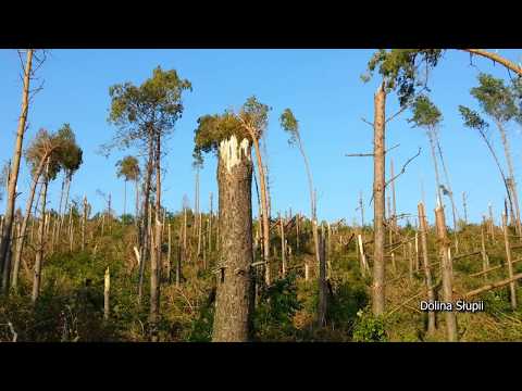 Nawałnica 11/12.08.2017 - Gmina Sulęczyno (KASZUBY)
