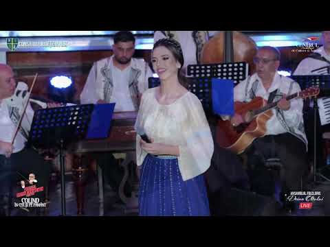 DENISA POPESCU -"Viața lăutarilor" (COVER)