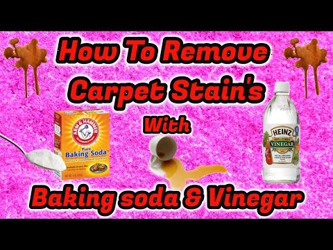 YouTube video about: How to get stains out of carpet with baking soda?