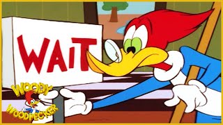 Woody Woodpecker  Wallys Royal Riot  Kids Videos  