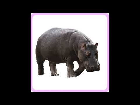 animaux de la savane
