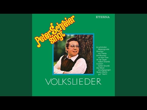 Am Brunnen Vor Dem Tore - Peter Schreier