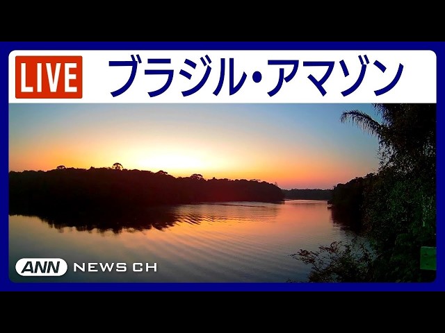 アマゾン ネグロ川支流 ジャングル @Evolução Ecolodge