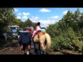 Emily And Teddy The Pony