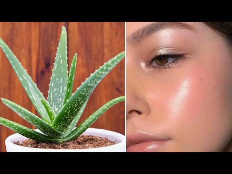 Zbulohet sekreti i bukurisë. Merrni pak aloe vera dhe përdoreni në këtë mënyrë