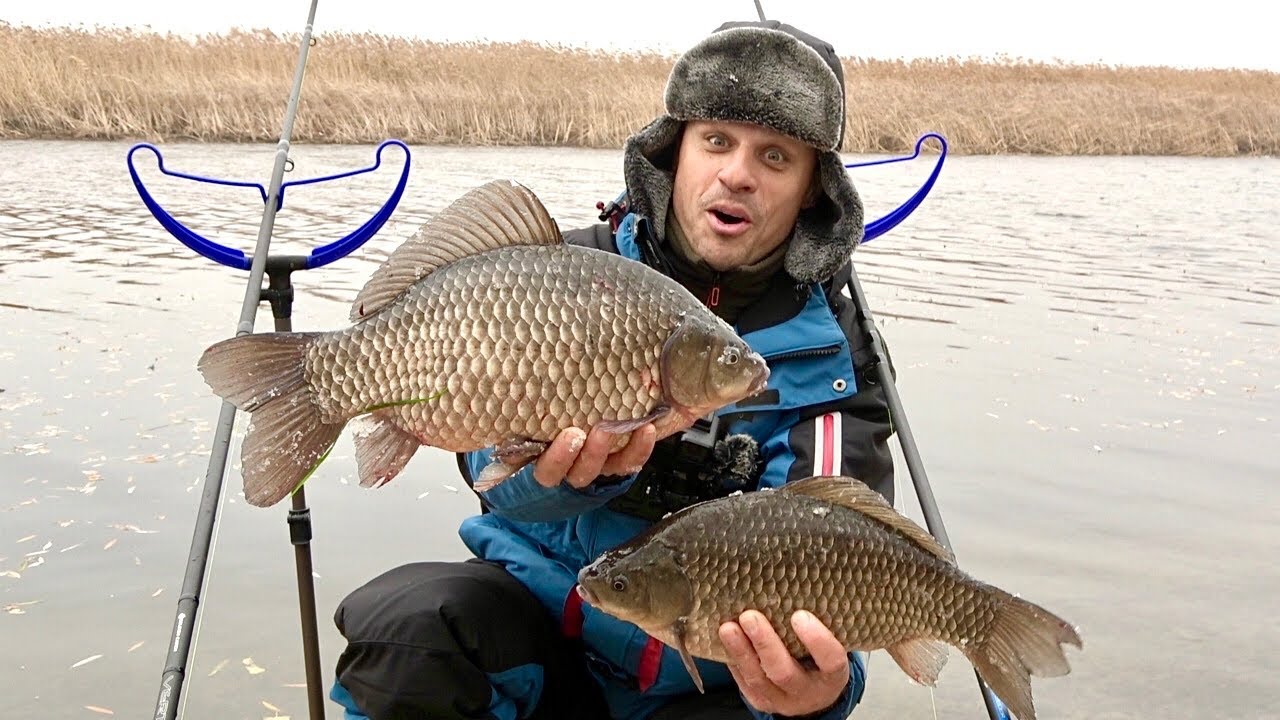Дикие караси монстры зимой на пенопласт! Ловля карася на кормачки