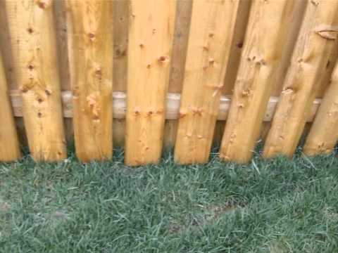 Tamarack Sod Issues #1