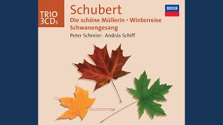 Musik-Video-Miniaturansicht zu D. 957-7 Abschied. Songtext von Franz Schubert