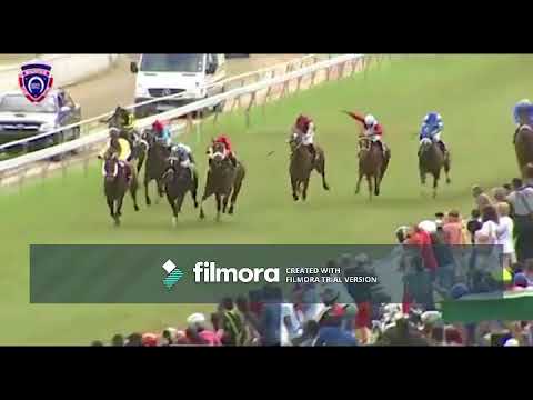 Race Meeting 13 All Wins