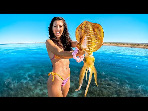 Giant Tiger Squid Catch And Cook
