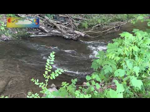 Iece Señor cuida de mi vida “Canta :Araceli y Zabdi