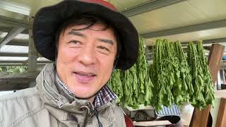 배추는 죽어서 우거지를 남기고 무우는 시래기를 남긴다