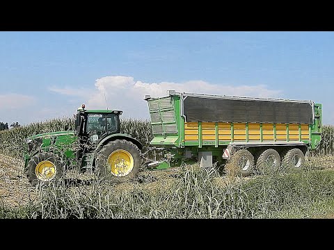 Maissilage 2020 - CLAAS | JOHN DEERE - Trailer