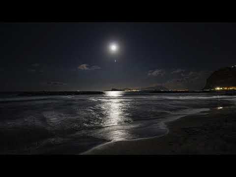 Beethoven - Moonlight Sonata 1st ( 1 hour loop )