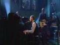 David Gray - Destroyer Live