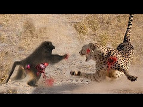 ��ԡ���ʹ٤�Ի�Դ���