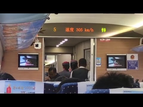 China Railways G362/G359 From Zhengzhou East to Shanghai Hongqiao Travel Vlog #china #highspeedtrain