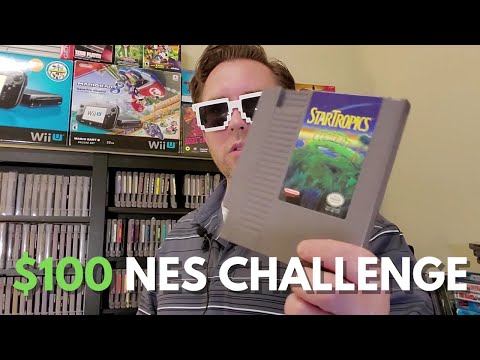 $100 NES CHALLENGE! | What games would you choose?...