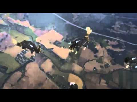 Swedish Skydiving Cats Commercial