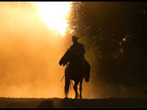 Tumbleweed (Yellowstone Version) - Puscifer