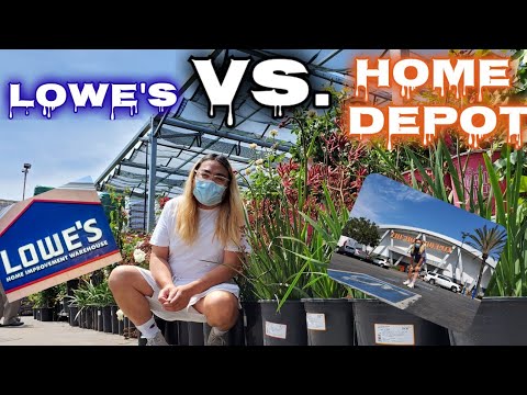 Batalha das Big Box Stores!