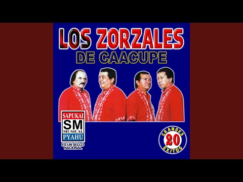 Acambiamita che pinta