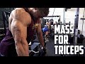 MASS Workout: Triceps & Delts