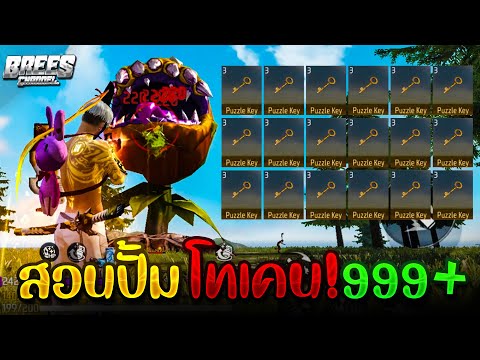 ฟีฟาย 9999999