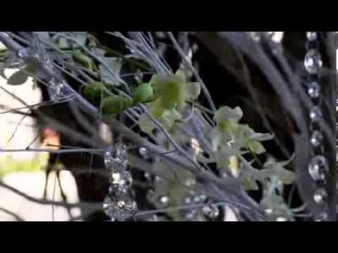 The Dhol Academy @ Chateaux de Bel Ombre