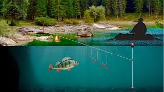 Где в карелии можно ловить хариуса