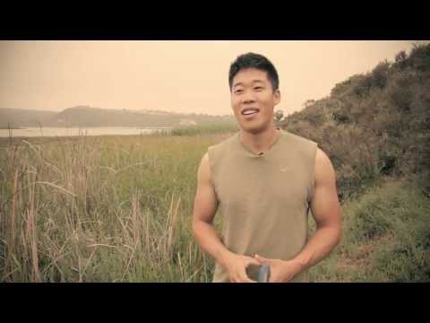 PIC Citronella Plus Wristband Review