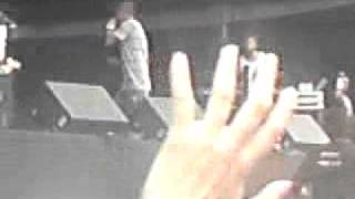 Fidel Nadal - Picadura de avispa