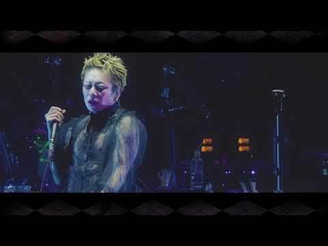 sukekiyo - Valentina [AMOR] LIVE