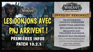 LES DONJONS AVEC PNJ ARRIVENT ! LES PREMIÈRES INFOS DU PATCH 10.2.5 !