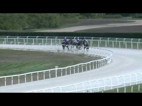 2017.04.23. 3. futam - GRÓF CSEKONICS GYULA EMLÉKVERSENY (V.kat.) (szintetikus pálya)