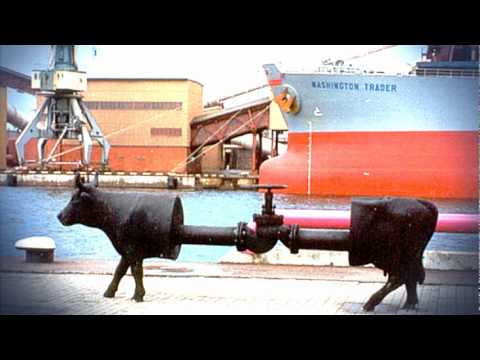 "Мой Вентспилс!"