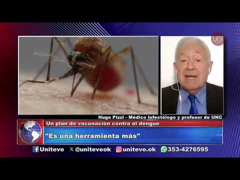 El plan de vacunación contra el dengue