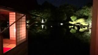 preview picture of video 'A night walk in Yokokan Garden　夜の養浩館庭園'