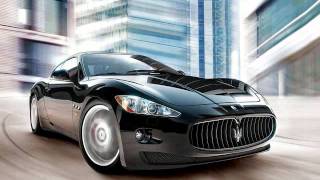 Crusaders - The Young Rabbits