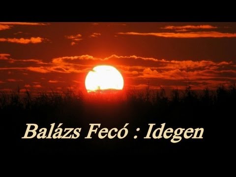 Balázs Fecó - Idegen