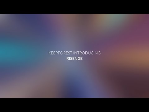 Free Download Risenge Pro KONTAKT LiTE